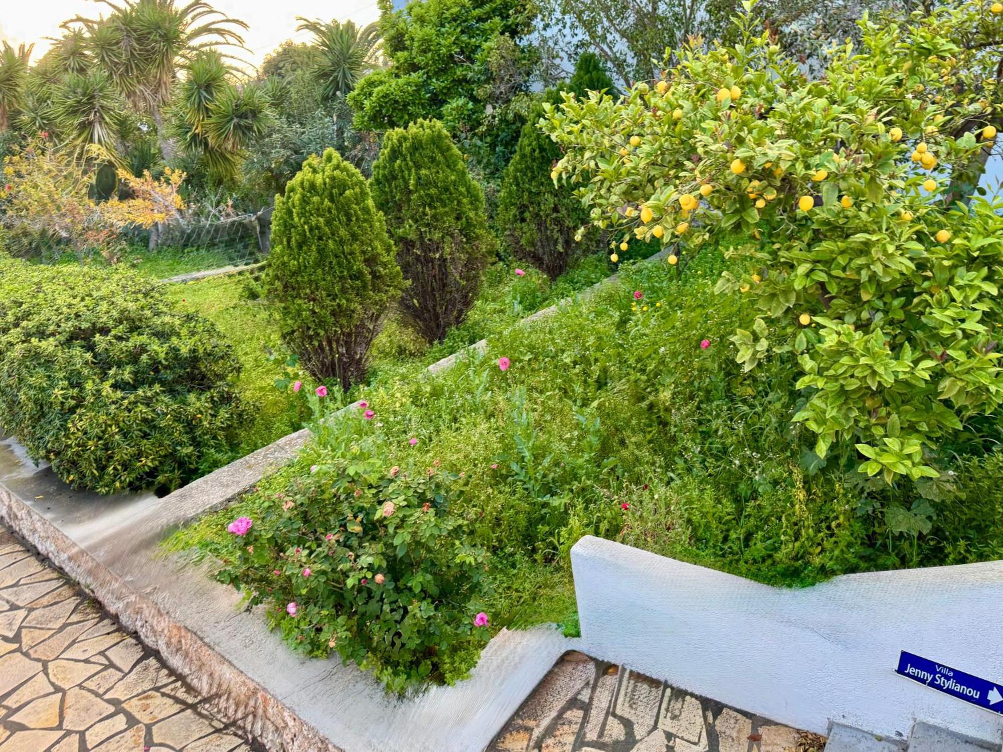 Villa Jenny Stylianou Spetses Town Bagian luar foto